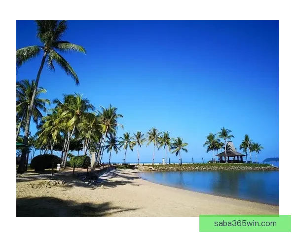 沙巴APP下载安装最新方法详解与操作指南 沙巴APP下载安装最新方法详解与操作指南