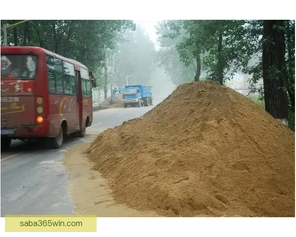 世界杯赛事全攻略解析与投注技巧全面指南让你轻松赢取竞猜收益